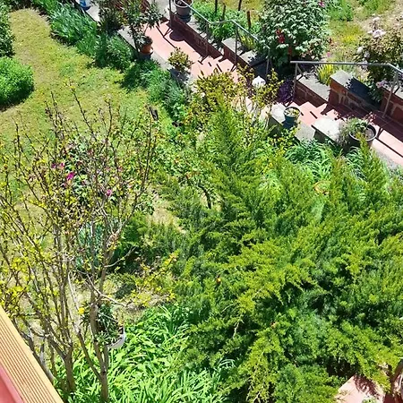 Anna Badacsony Apartament *